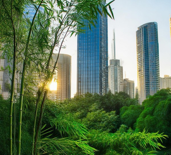 竹禾文化传媒,城市化的诗意栖居 竹禾文化传媒,城市化的诗意栖居
