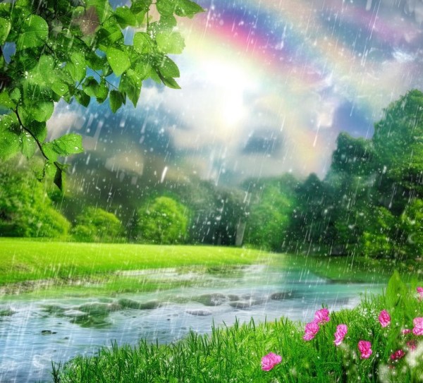一场雨后的资讯之美